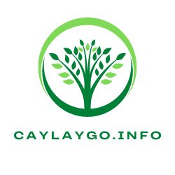 caylaygo.info